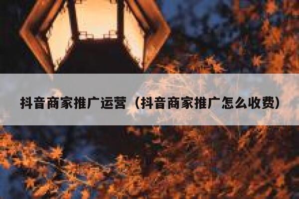 抖音商家推广运营（抖音商家推广怎么收费）