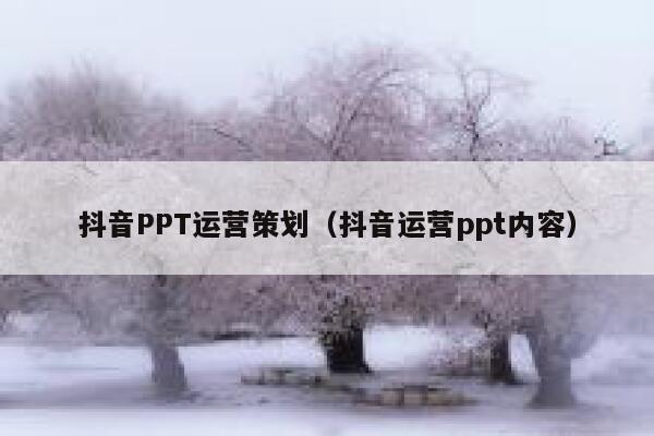 抖音PPT运营策划（抖音运营ppt内容）