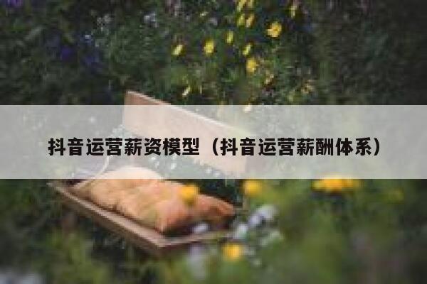 抖音运营薪资模型（抖音运营薪酬体系）