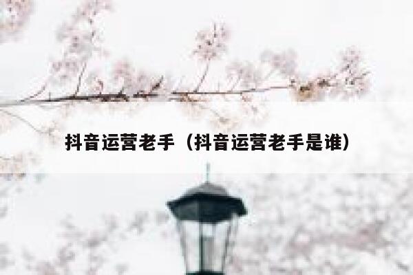 抖音运营老手（抖音运营老手是谁）