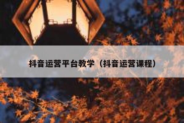 抖音运营平台教学（抖音运营课程）