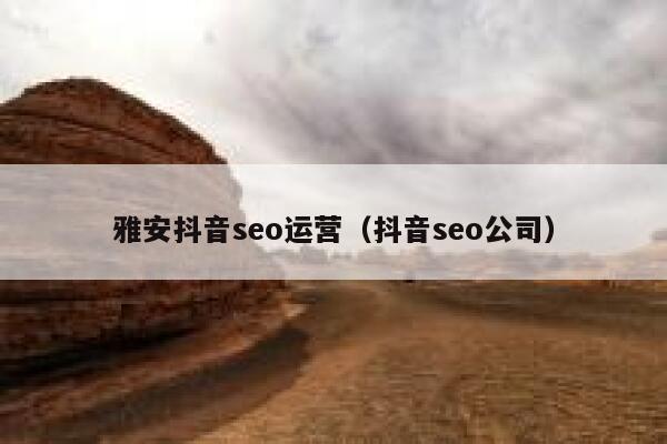 雅安抖音seo运营（抖音seo公司）