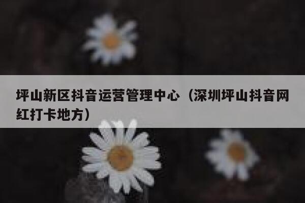 坪山新区抖音运营管理中心（深圳坪山抖音网红打卡地方）