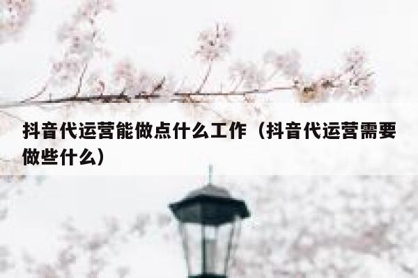 抖音代运营能做点什么工作（抖音代运营需要做些什么）